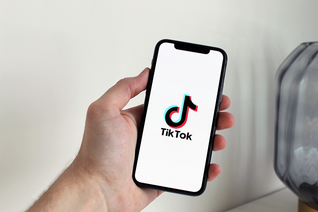 voici-comment-enlever-filtre-rotoscope-TikTok-decouvrez-toutes-les-astuces